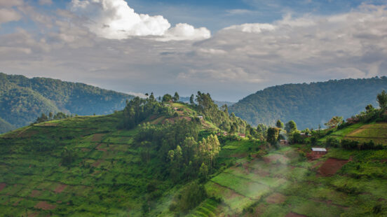 Landscape image of Ugandax27;s Bwindi Imenetrable forest - luscious green nature in Africa