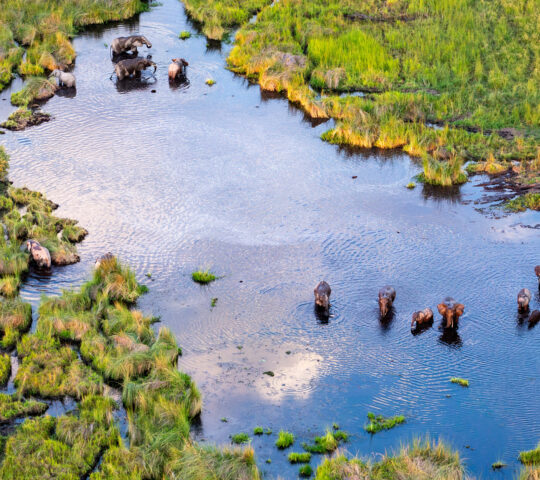 Okavango Delta