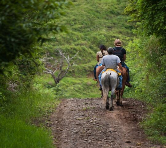 Go horse riding in the Nicoya Peninsula
