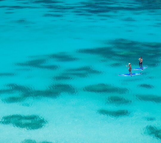 Exploring the Great Barrier Reef on a paddle board