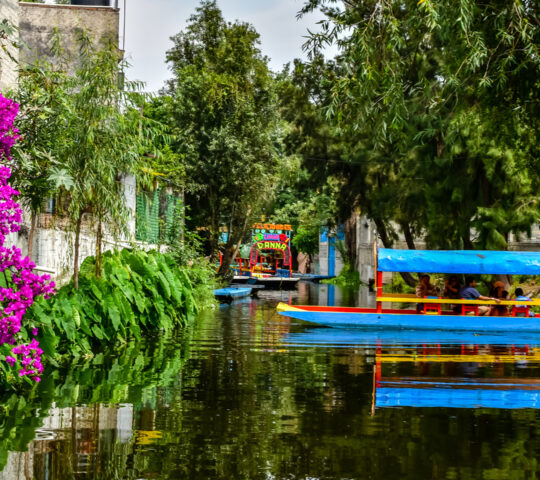Explore Xochimilco