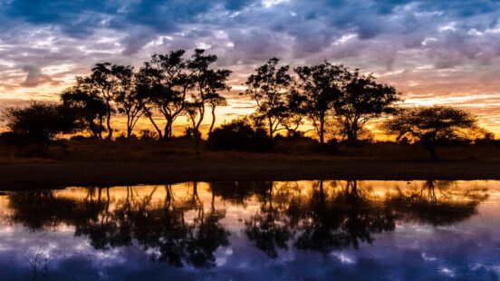 evening sunset at mombo camp, delta