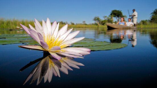 Mokoro - Okavango Delta