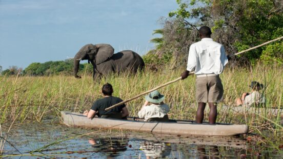 A guide poles a canoe past a large African elephant standing in marshy tall grass during a safari.