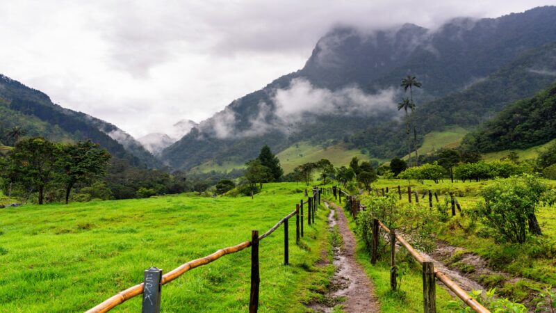 Coffee region colombia