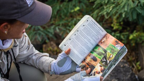 A naturalist guide thumbing through a book on wildlife of the Galapagos, Ecuador