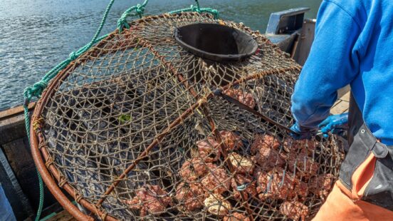 A person on a boat working with a large wire mesh fishing trap over the water.