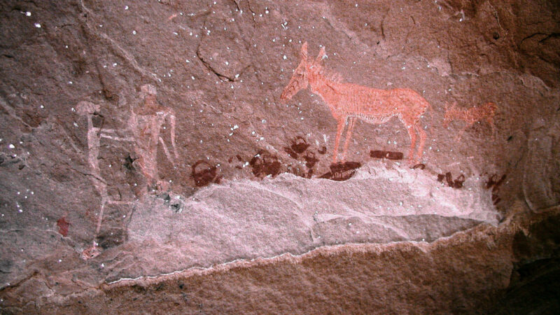 Namibia, Africa.