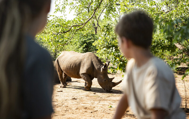 People watching a rhinoceros in the wild on luxury Zambia tours.