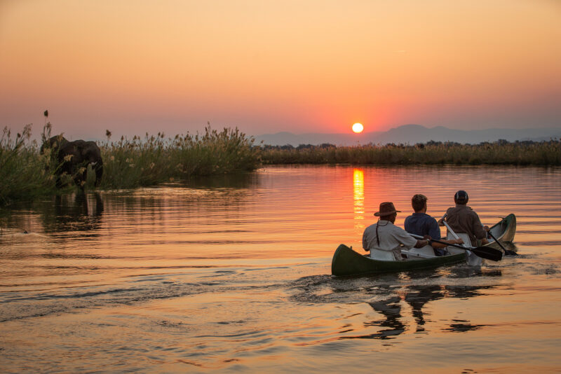 Three people in a canoe on a river, paddling away from an elephant on the bank during a golden sunset.