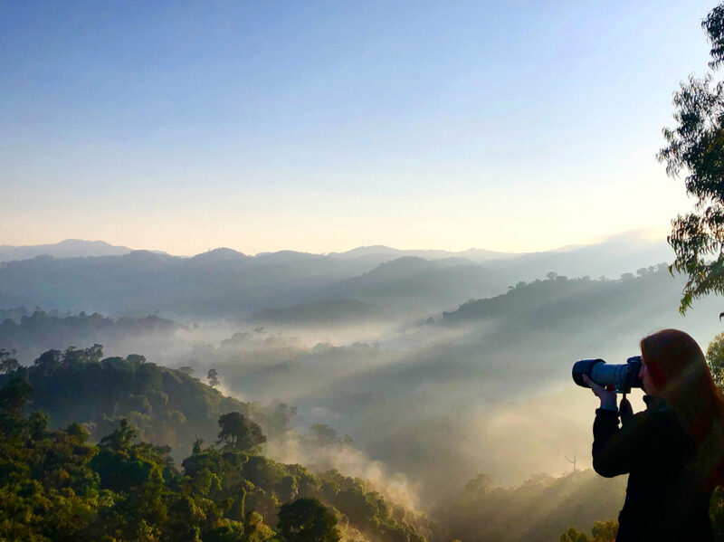 Woman looking through a camera/binoculars at a sweeping, misty, forested valley at sunrise. Perfect for luxury Rwanda tours.