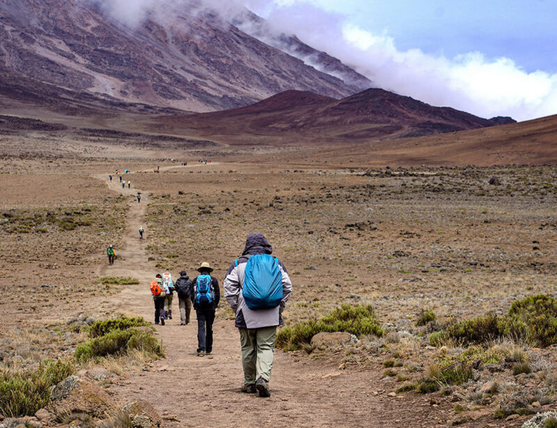Luxury Tanzania Safaris and Tours - Group of hikers trekking Kilimanjaro Mountain in the Kilimanjaro National Park, Tanzania