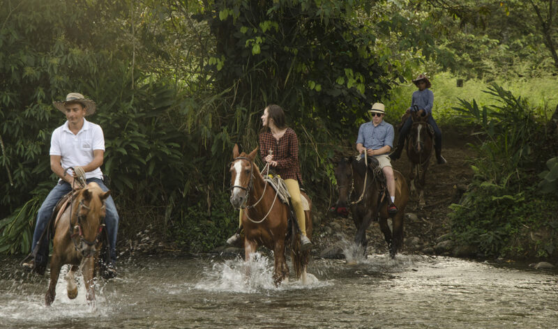 Four tourists on a Luxury Colombia Tours horseback riding excursion, crossing a shallow, rocky river surrounded by lush greenery and trees.