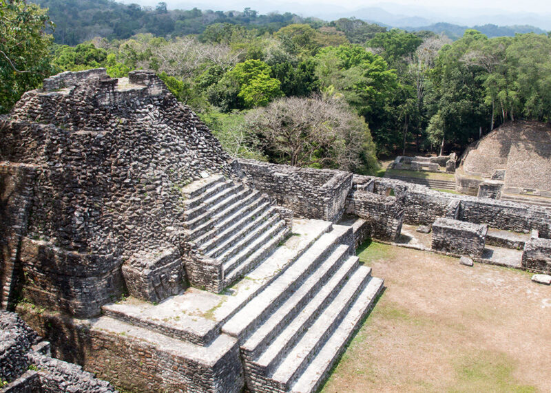 Elevated view of ancient Mayan stone ruins featuring large, wide steps and mossy walls, surrounded by jungle. See on luxury Belize tours.