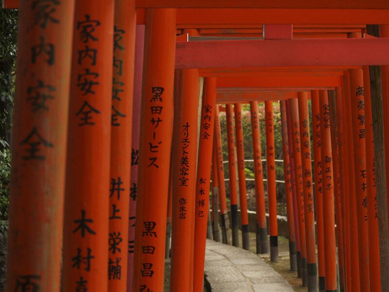 Private Japan Luxury Tours - red tori gates form a long tunnel