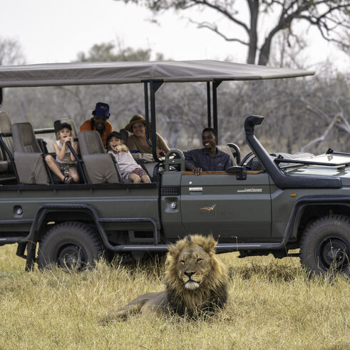 A male lion sitting in the grass in front of a safari vehicle filled with people.