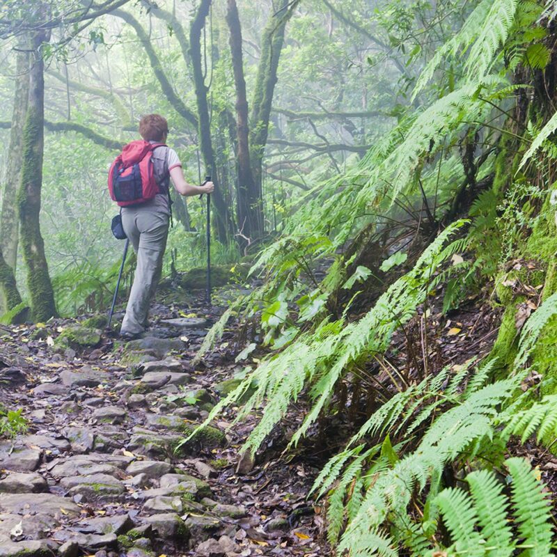 A woman with a red backpack hikes on a stone path through a misty, dense green forest, an option for luxury Spain tours.