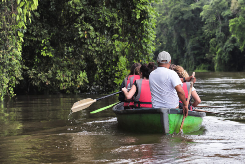 Tourists exploring a wild nature area by rowing boat. Ecotourism concept. Tortuguero national park. Costa Rica. tortuguero, costa rica, exploring, rainforest, nature, people, ecotourism, tropical, wilderness, limon, water, boat, river, woman, family, summer, canoe, leisure, park, fun, forest, outdoors, sport, outdoor, green, young, tree, sitting, rowing boat, ecosystem, wild, central america Tourists exploring a wild nature area by rowing boat. Ecotourism tortuguero, exploring, rainforest, nature, people, ecotourism, tropical, wilderness, limon, water, boat, river, woman, Family, summer, canoe, leisure, park, fun, forest, outdoors, sport, outdoor, green, young, tree, sitting, ecosystem, wild, central america, costa rica, family, rowing boat, Boat, Canoe, Human, Person, Rowboat, Transportation, Vehicle Tourists exploring a wild nature area by rowing boat. Ecotourism concept. Tortuguero national park. Costa Rica..tortuguero, costa rica, exploring, rainforest, nature, people, ecotourism, tropical, wilderness, limon, water, boat, river, woman, family, summer, canoe, leisure, park, fun, forest, outdoors, sport, outdoor, green, young, tree, sitting, rowing boat, ecosystem, wild, central america