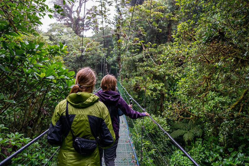 Woman and teenage girl crossing a suspension bridge in the Cloud Forest of Costa RIca. woman, couple, people, family, nature, walking, hiking, forest, child, park, fishing, summer, outdoors, boy, love, together, father, two, mother, outdoor, sport, leisure, green, senior, tree, girl, bridge, rainforest, jungle, cloud forest Woman and teenage girl crossing a suspension bridge in the Cloud Forest of Costa RIca..woman, couple, people, family, nature, walking, hiking, forest, child, park, fishing, summer, outdoors, boy, love, together, father, two, mother, outdoor, sport, leisure, green, senior, tree, girl, bridge, rainforest, jungle, cloud forest Woman and teenage girl crossing a suspension bridge in the Cloud woman, couple, people, Family, nature, walking, hiking, forest, child, park, fishing, summer, outdoors, boy, love, together, father, two, mother, outdoor, sport, leisure, green, senior, tree, girl, bridge, rainforest, jungle, cloud forest, family, Human, Jungle, Land, Nature, Outdoors, Person, Plant, Rainforest, Tree, Vegetation