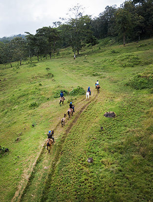 Costa Rica Animal, Countryside, Cow, Field, Grassland, Human, Mammal, Nature, Outdoors, Person Costa Rica