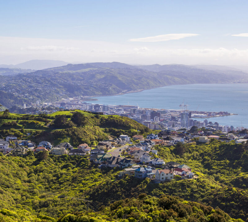 Elevated view of a coastal city and residential houses on hills during luxury New Zealand tours.
