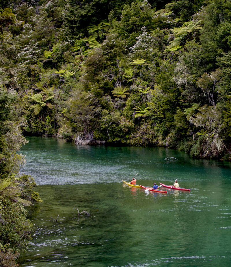 Kayakers paddling on a clear green river through a lush forest on luxury New Zealand trips.