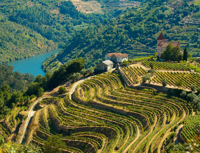 Steep, terraced vineyards and hillsides overlooking a blue river in the Douro Valley, perfect for luxury Portugal vacations.