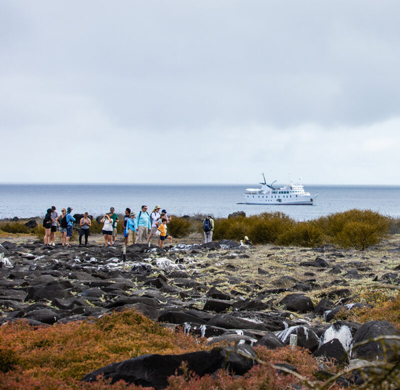 Group of tourists watching birds on a rocky Galapagos shore during luxury Ecuador holidays.