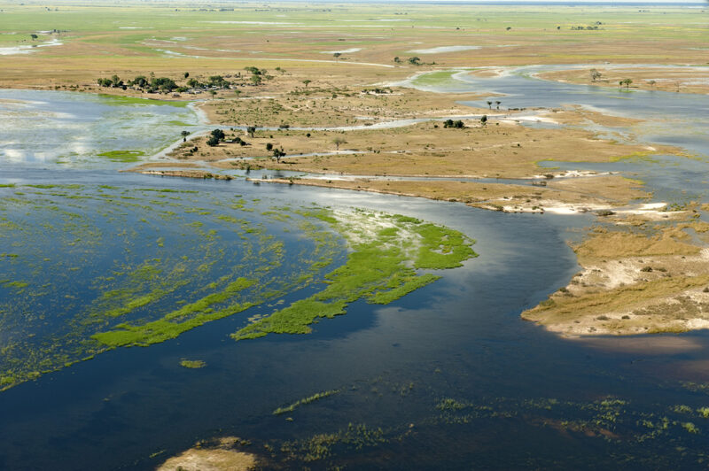 High angle view of a river delta with winding blue water channels and green marshland.