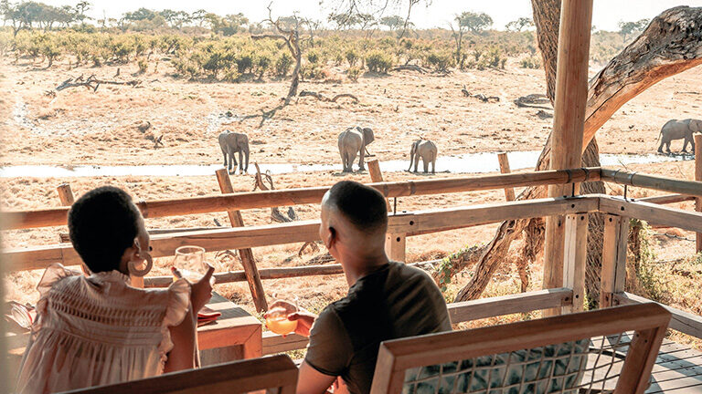 Two people seen from behind on a wooden deck watching four elephants in a dry landscape.