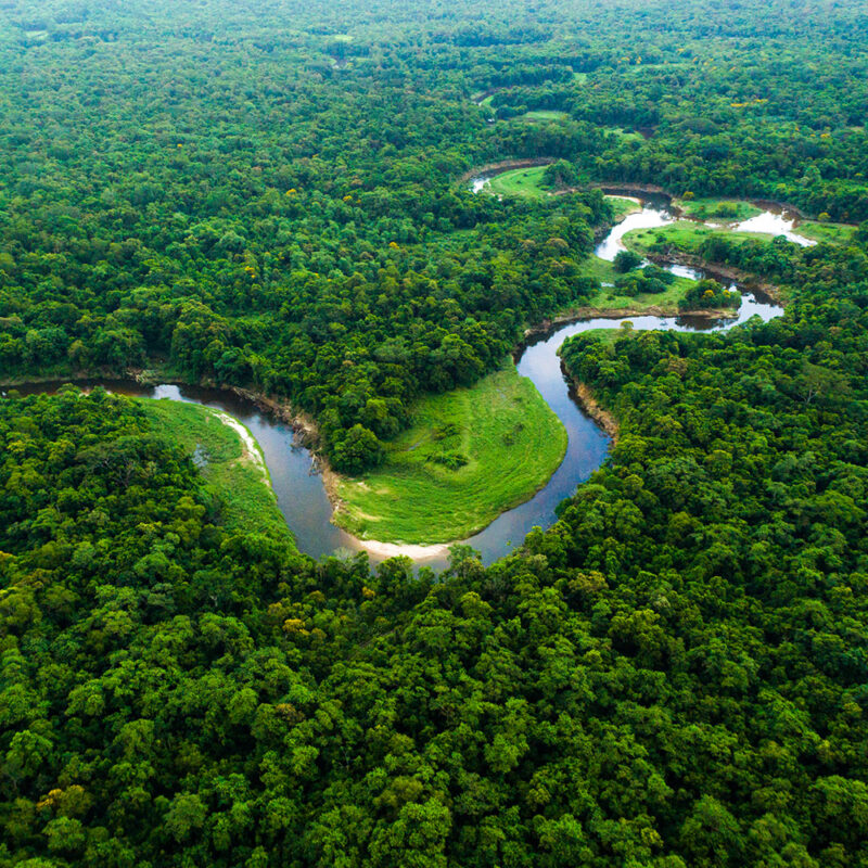 Aerial view of a winding river surrounded by the dense, vibrant green foliage of the Amazon rainforest. luxury Brazil vacations.