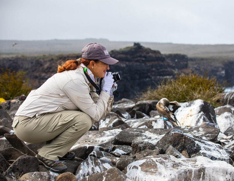 Animal, Bird, Human, Person, Photographer, Rubble