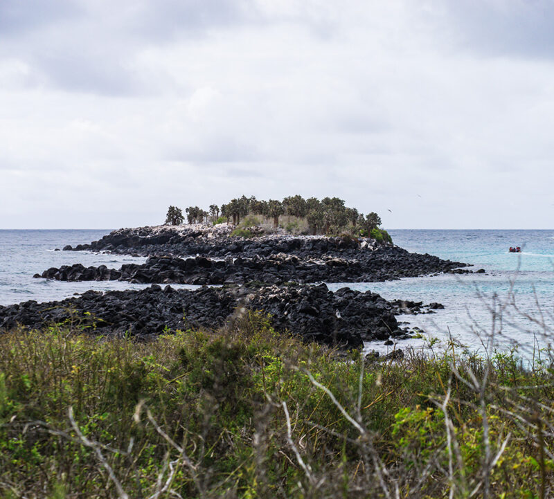Coast, Island, Land, Nature, Ocean, Outdoors, Promontory, Sea, Shoreline, Water