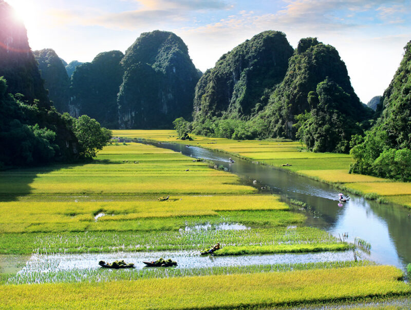 Luxury Vietnam Tours - Green rice fields in Ninh Binh, Vietnam