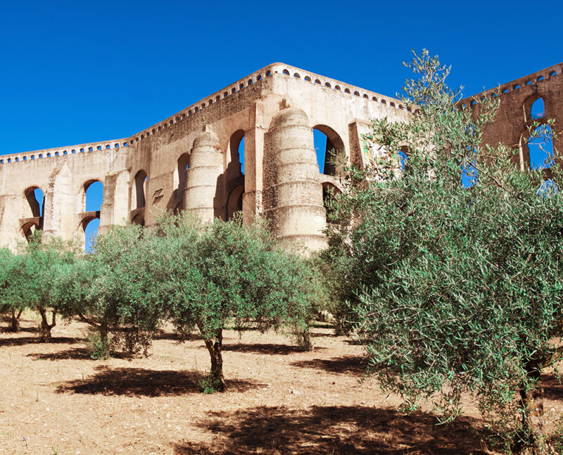 Historic stone aqueduct seen through a grove of olive trees during luxury Portugal trips.