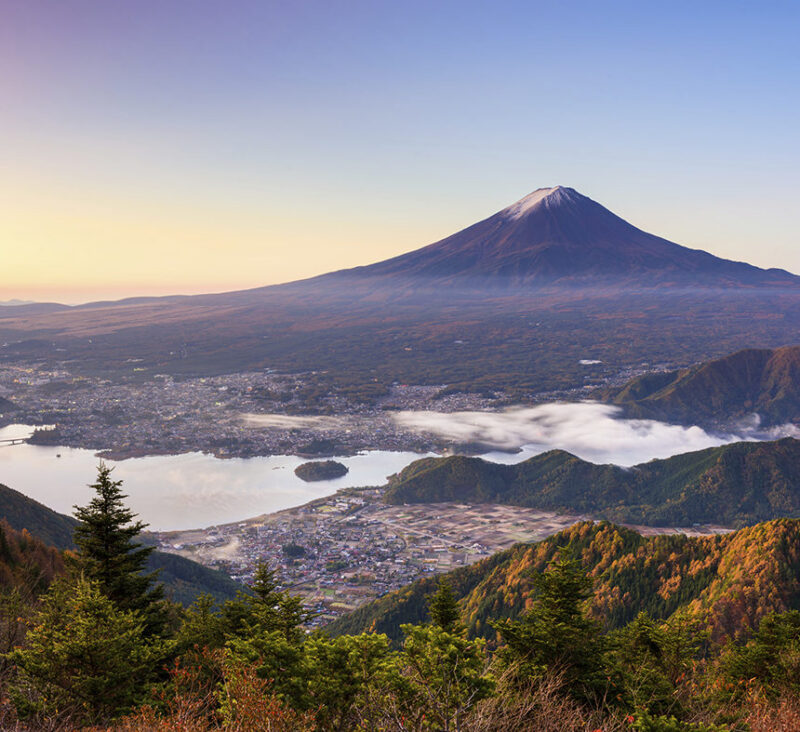 Mt Fuji view over a lake and trees