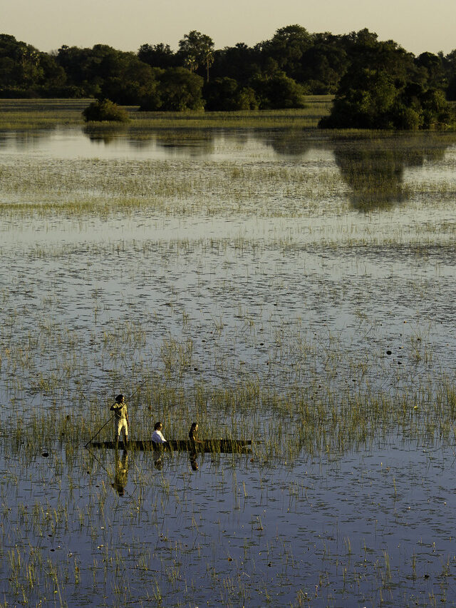 Three people in a mokoro canoe navigating through grassy wetlands during luxury Okavango Delta Tours.