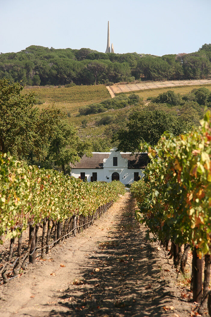 A scenic vineyard path leading to a historic building during luxury Cape Town tours.