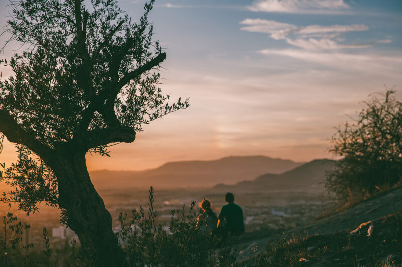 A couple sitting beside an olive tree looking out across a valley at dusk.