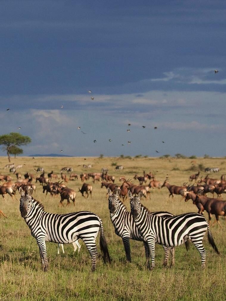 Tanzania