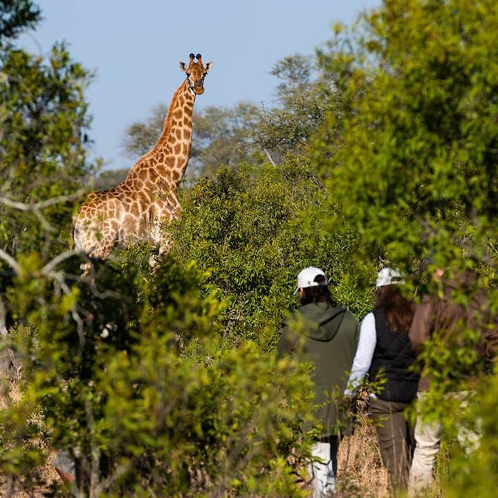 South Africa