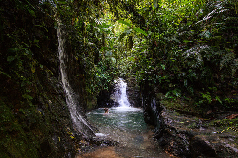 A person swimming in a jungle pool by a waterfall during luxury Latin America honeymoon trips.