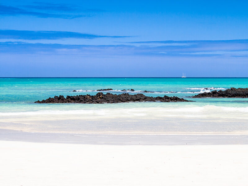 Typical Galapagos beach with white sand, volcanic rocks and emerald sea. El Garrapatero beach, Santa Cruz, Galapagos Islands 160596288 Beach, Beauty In Nature, Blue, Clear Sky, Coastline, Emerald, Galapagos Islands, Idyllic, Island, Landscape, Nature, Pacific Ocean, Rock, Romance, Sea, Sky, Tranquil Scene, Tropical Climate, White 160596288 Beach, Blue, Coastline, Emerald, Galapago, Galapagos, Beauty In Nature, Clear Sky, Beach, Coast, Land, Nature, Ocean, Outdoors, Sea, Shoreline, Water Typical Galapagos beach with white sand, volcanic rocks and emerald sea. El Garrapatero beach, Santa Cruz, Galapagos Islands.160596288.Beach, Beauty In Nature, Blue, Clear Sky, Coastline, Emerald, Galapagos Islands, Idyllic, Island, Landscape, Nature, Pacific Ocean, Rock, Romance, Sea, Sky, Tranquil Scene, Tropical Climate, White