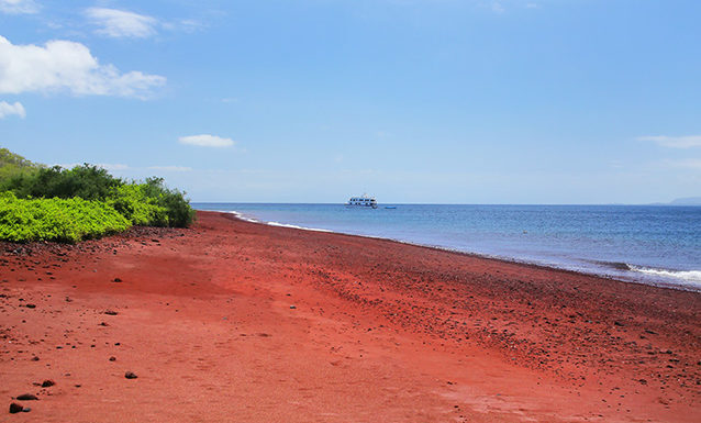 Red sand beach on Rabida Island in Galapagos National Park, Ecuador 942483942 america, american, coast, ecuadorian, marine, national, natural, ocean, park, preserve, rabida, tropical Red sand beach on Rabida Island in Galapagos National Park, Ecuador.942483942.america, american, coast, ecuadorian, marine, national, natural, ocean, park, preserve, rabida, tropical 942483942 america, american, coast, ecuadorian, marine, national, natural, ocean, Galapagos, Beach, Coast, Land, Nature, Ocean, Outdoors, Sea, Shoreline, Water