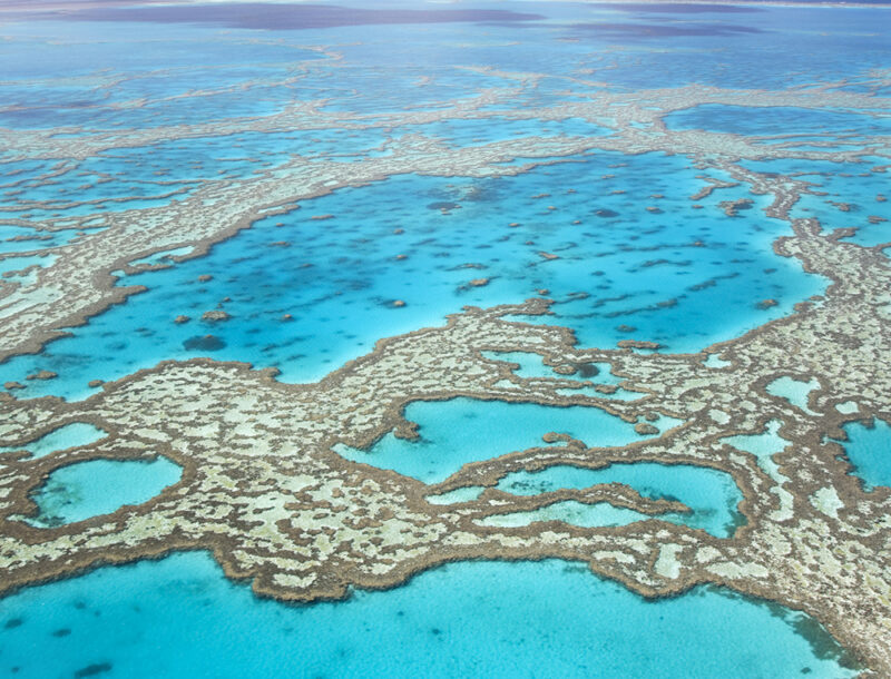 157400772 Scenics, Transparent, Blue, Environment, Nature, Outdoors, Queensland, Australia, Coral, Reef, Sea, Water, Aerial View, Beauty In Nature, Bodies Of Water, Directly Above, Geological Feature, Great Barrier Reef, Hardy Reef, High Angle View, No People, Pacific Ocean, Sea Life, Tranquil Scene, Travel Backgrounds, Travel Destinations, Travel Locations, Tropical Climate, Turquoise Colored, Animal, Coral Reef, Land, Nature, Ocean, Outdoors, Reef, Sea, Sea Life, Water 157400772.Hardy Reef, Sea Life, No People, Beauty In Nature, Scenics, Tranquil Scene, Transparent, Blue, Turquoise Colored, Tropical Climate, Environment, Travel Destinations, Nature, Outdoors, Directly Above, Aerial View, High Angle View, Queensland, Australia, Coral, Great Barrier Reef, Reef, Pacific Ocean, Sea, Water, Nature, Travel Locations, Bodies Of Water, Travel Backgrounds, Geological Feature.Aerial view of the Great Barrier Reef in Australia.Australia