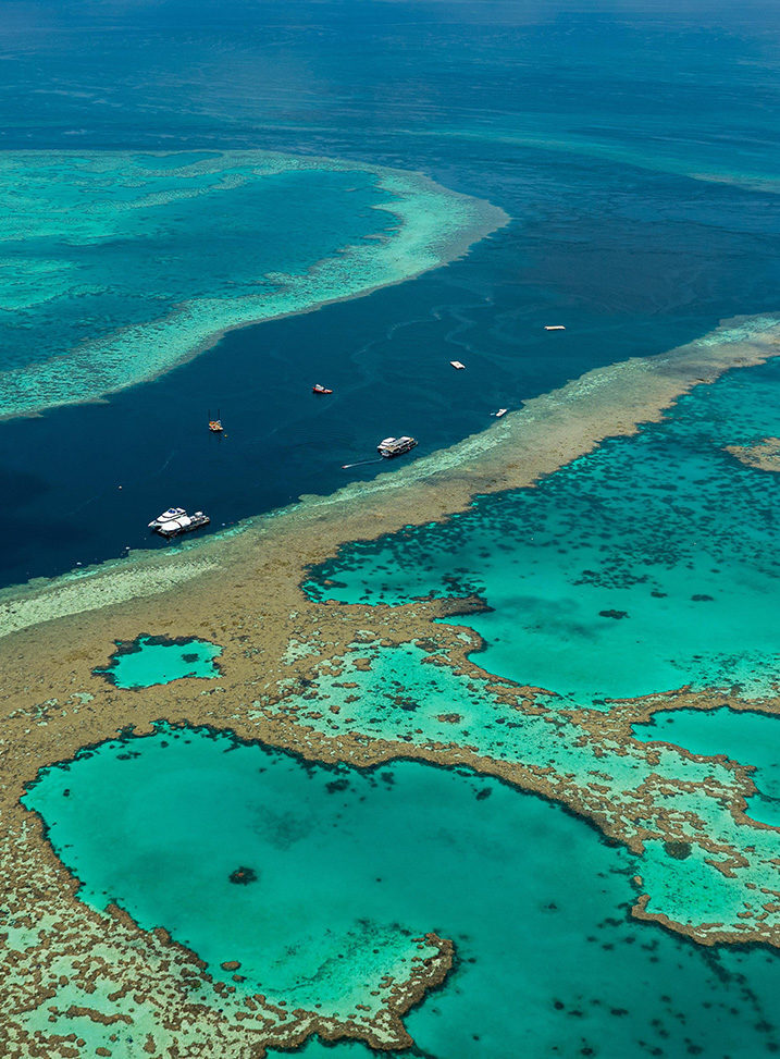 Great barrier reef from the sky in Australia great barrier reef, australia, sea, water, ocean, blue, beach, sky, island, tropical, nature, clear, reef, wave, summer, turquoise, underwater, landscape, sand, travel, horizon, coast, seascape, green, coral Great barrier reef from the sky in Australia australia, sea, water, ocean, blue, beach, sky, island, tropical, nature, clear, reef, wave, summer, turquoise, underwater, landscape, sand, travel, horizon, coast, seascape, green, coral, great barrier reef, Beach, Coast, Land, Nature, Ocean, Outdoors, Reef, Sea, Shoreline, Water Great barrier reef from the sky in Australia.great barrier reef, australia, sea, water, ocean, blue, beach, sky, island, tropical, nature, clear, reef, wave, summer, turquoise, underwater, landscape, sand, travel, horizon, coast, seascape, green, coral
