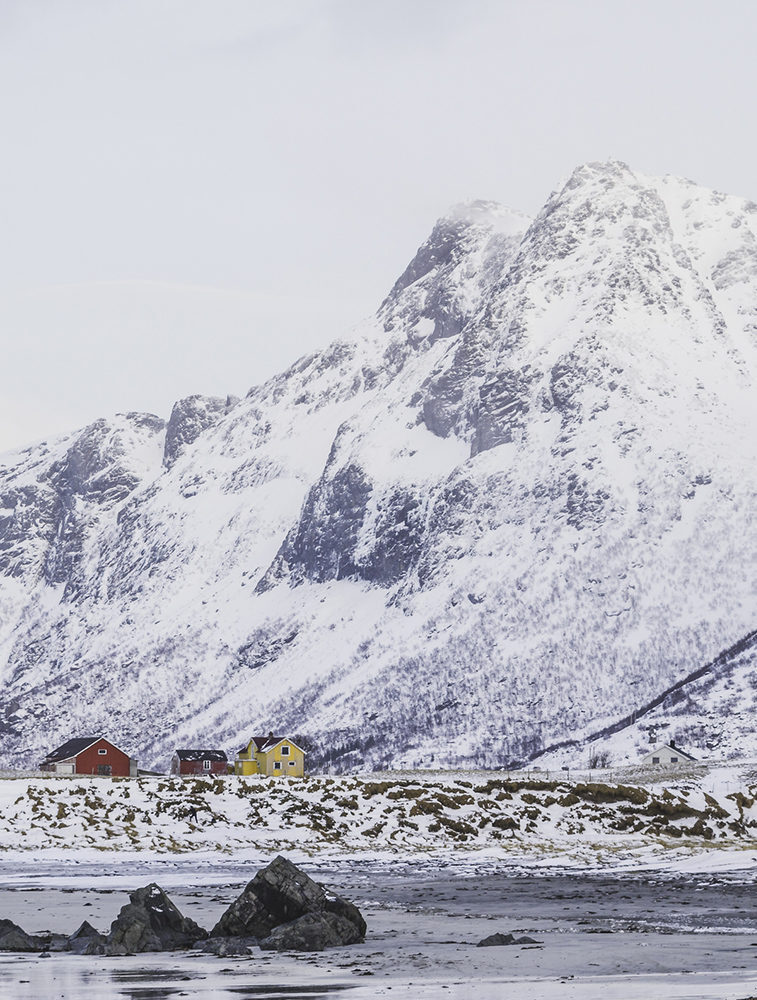 Snowy mountain over colourful Norwegian buildings in Lofoten