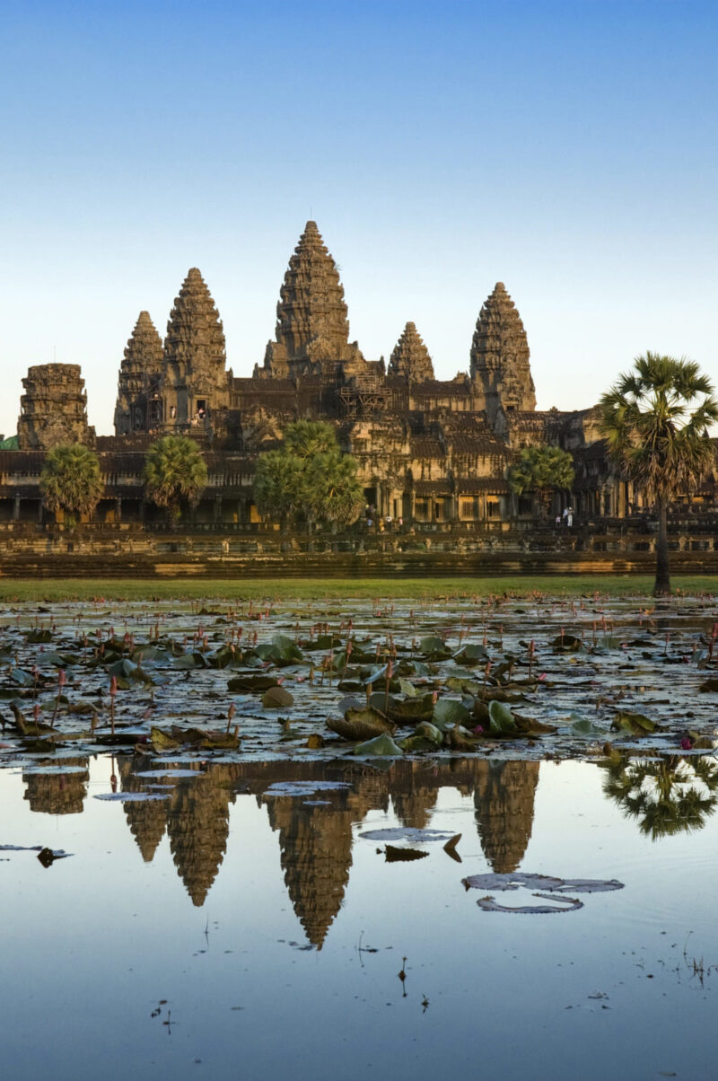 Angkor Wat temple complex with five towers reflected in a large pool covered with lotus flowers and lily pads.