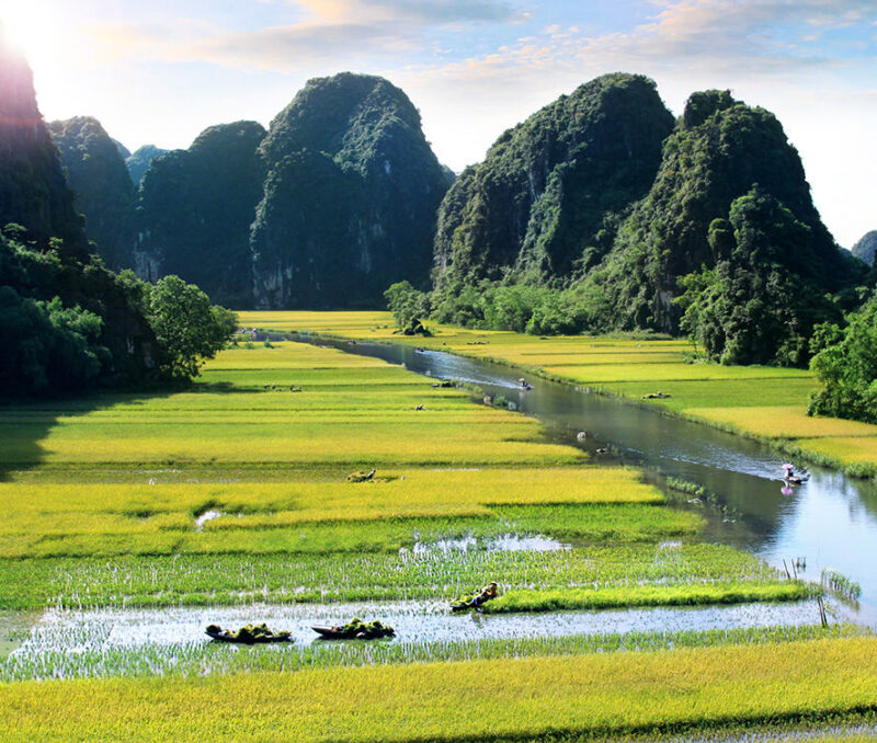 Scenic view of a calm river flowing through brilliant green and gold rice paddies, framed by steep, lush green karst mountains.
