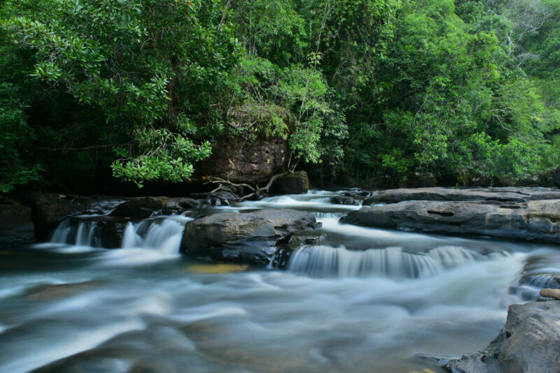 Shinta Mani Wild Bensley Collection Wild Cambodia